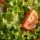 Ensalada mixta