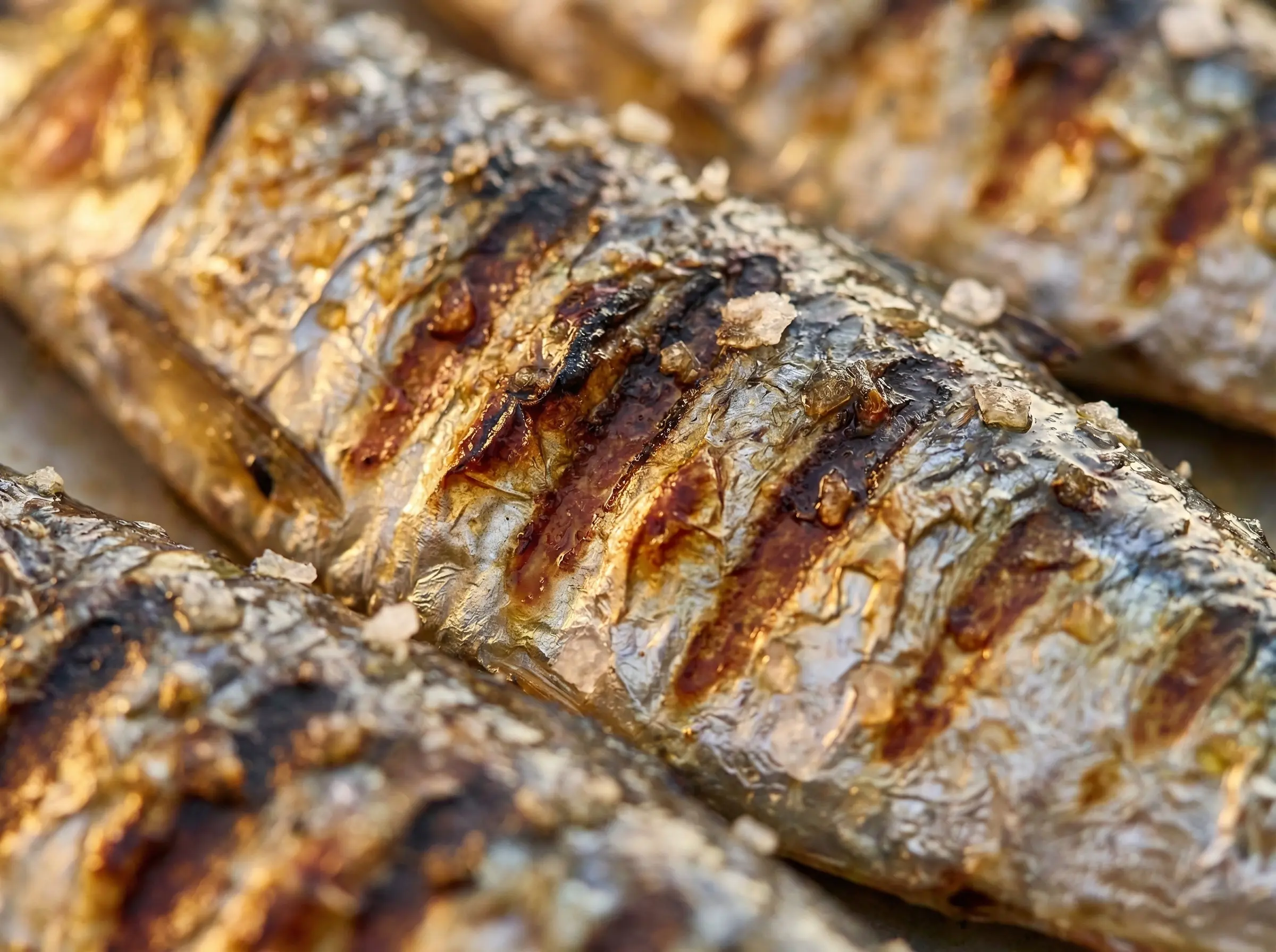 Sardinas a la plancha, tradición marinera
